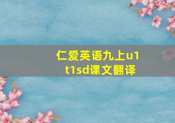 仁爱英语九上u1t1sd课文翻译