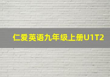 仁爱英语九年级上册U1T2