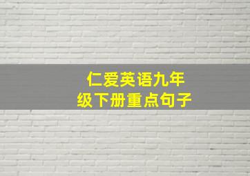 仁爱英语九年级下册重点句子