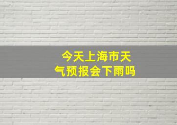 今天上海市天气预报会下雨吗