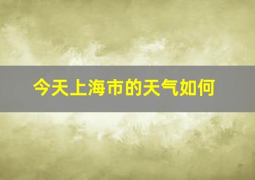 今天上海市的天气如何