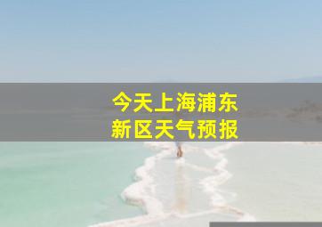 今天上海浦东新区天气预报