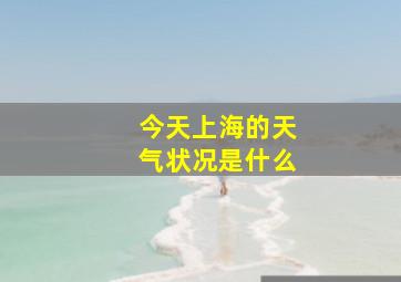 今天上海的天气状况是什么