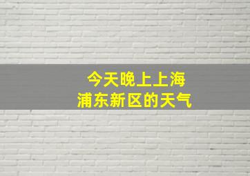 今天晚上上海浦东新区的天气