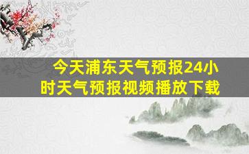 今天浦东天气预报24小时天气预报视频播放下载