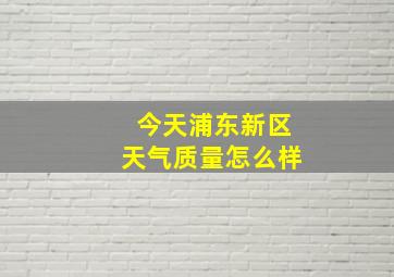 今天浦东新区天气质量怎么样