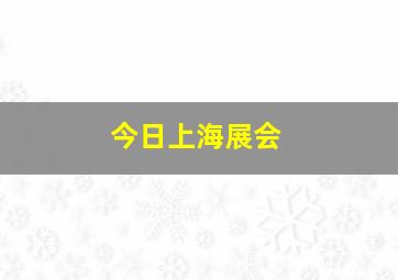 今日上海展会