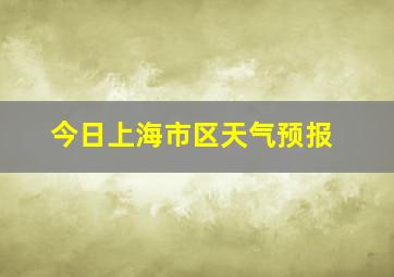 今日上海市区天气预报