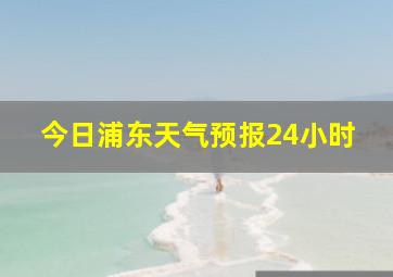 今日浦东天气预报24小时