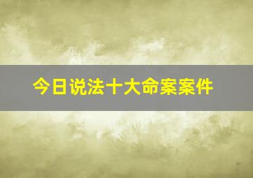 今日说法十大命案案件