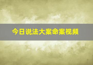 今日说法大案命案视频