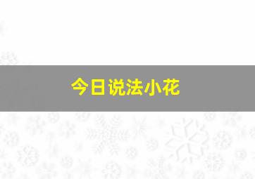 今日说法小花