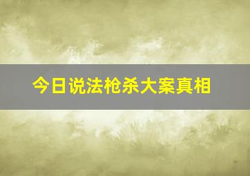 今日说法枪杀大案真相