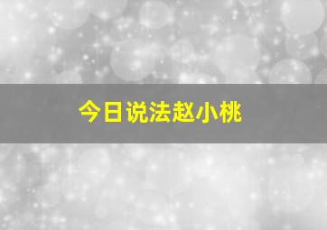 今日说法赵小桃