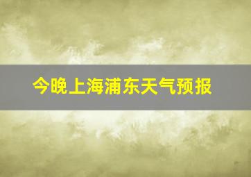 今晚上海浦东天气预报