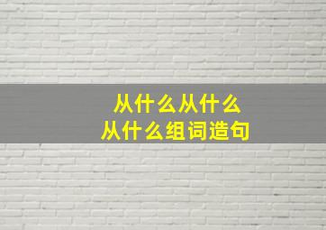 从什么从什么从什么组词造句