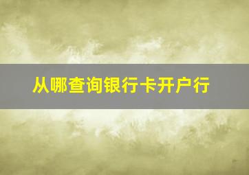 从哪查询银行卡开户行