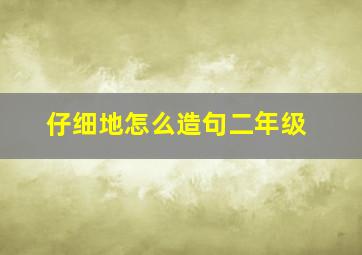 仔细地怎么造句二年级