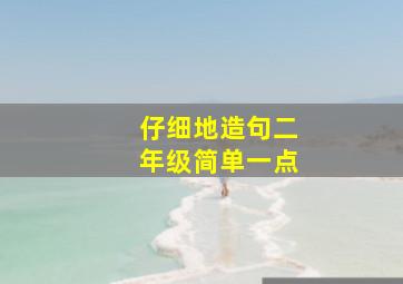 仔细地造句二年级简单一点