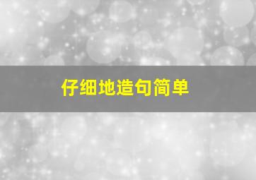 仔细地造句简单