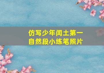 仿写少年闰土第一自然段小练笔照片