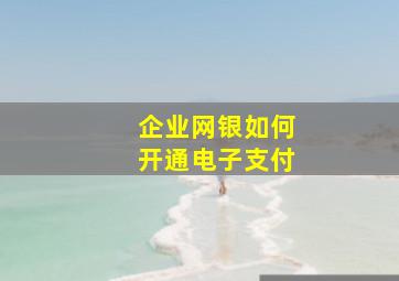 企业网银如何开通电子支付