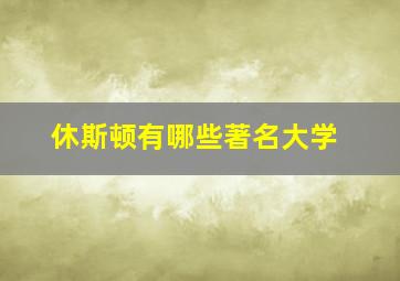 休斯顿有哪些著名大学