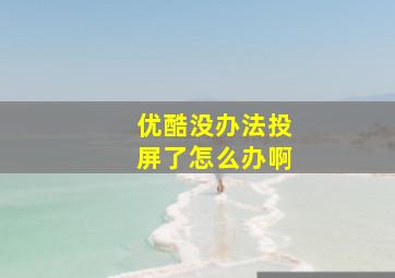 优酷没办法投屏了怎么办啊