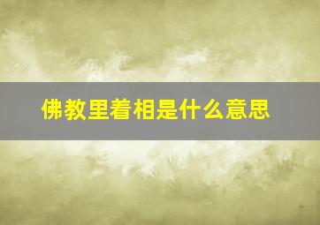 佛教里着相是什么意思