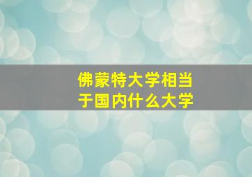 佛蒙特大学相当于国内什么大学