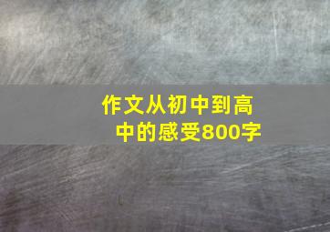 作文从初中到高中的感受800字