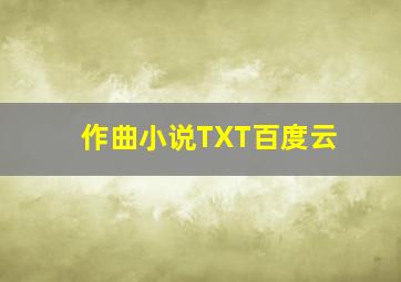 作曲小说TXT百度云