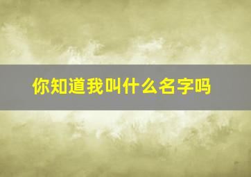 你知道我叫什么名字吗