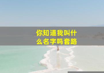 你知道我叫什么名字吗套路