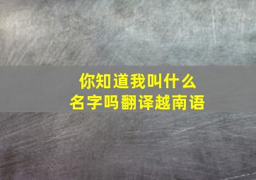 你知道我叫什么名字吗翻译越南语