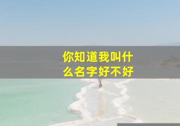 你知道我叫什么名字好不好