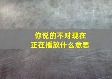 你说的不对现在正在播放什么意思