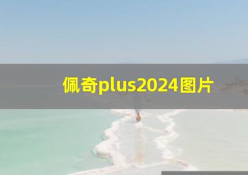 佩奇plus2024图片