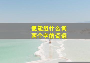 使能组什么词两个字的词语