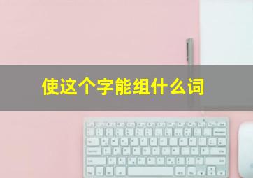 使这个字能组什么词