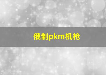 俄制pkm机枪