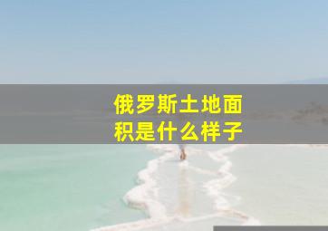 俄罗斯土地面积是什么样子