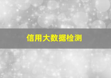 信用大数据检测