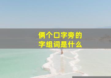 俩个口字旁的字组词是什么