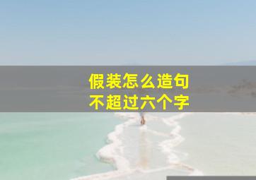 假装怎么造句不超过六个字