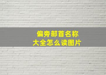 偏旁部首名称大全怎么读图片