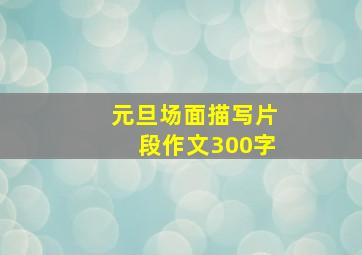 元旦场面描写片段作文300字