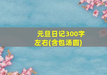 元旦日记300字左右(含包汤圆)