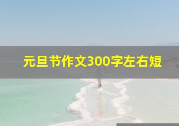 元旦节作文300字左右短