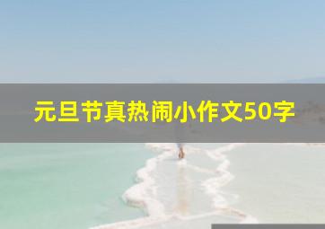 元旦节真热闹小作文50字